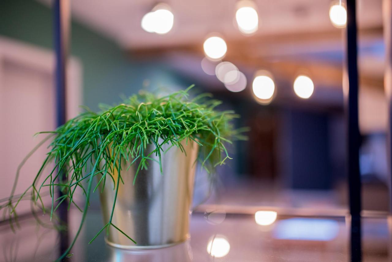 Togoto Wroclaw Hostel Zewnętrze zdjęcie
